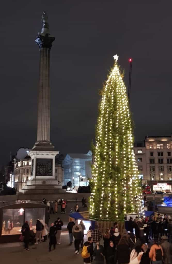 Visitare Londra a Natale: l'albero in Trafalgar Square